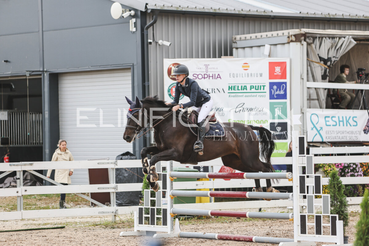 NHTS_2026_12_115cm_035