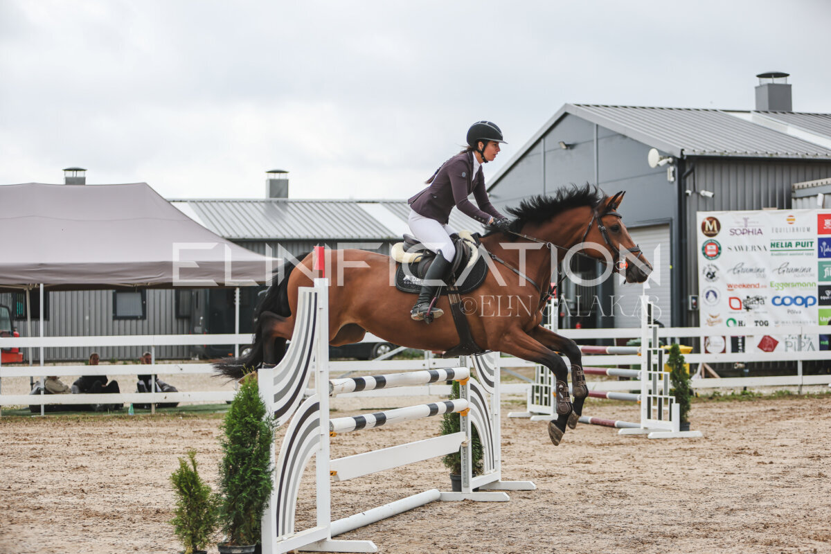 NHTS_2026_12_115cm_042