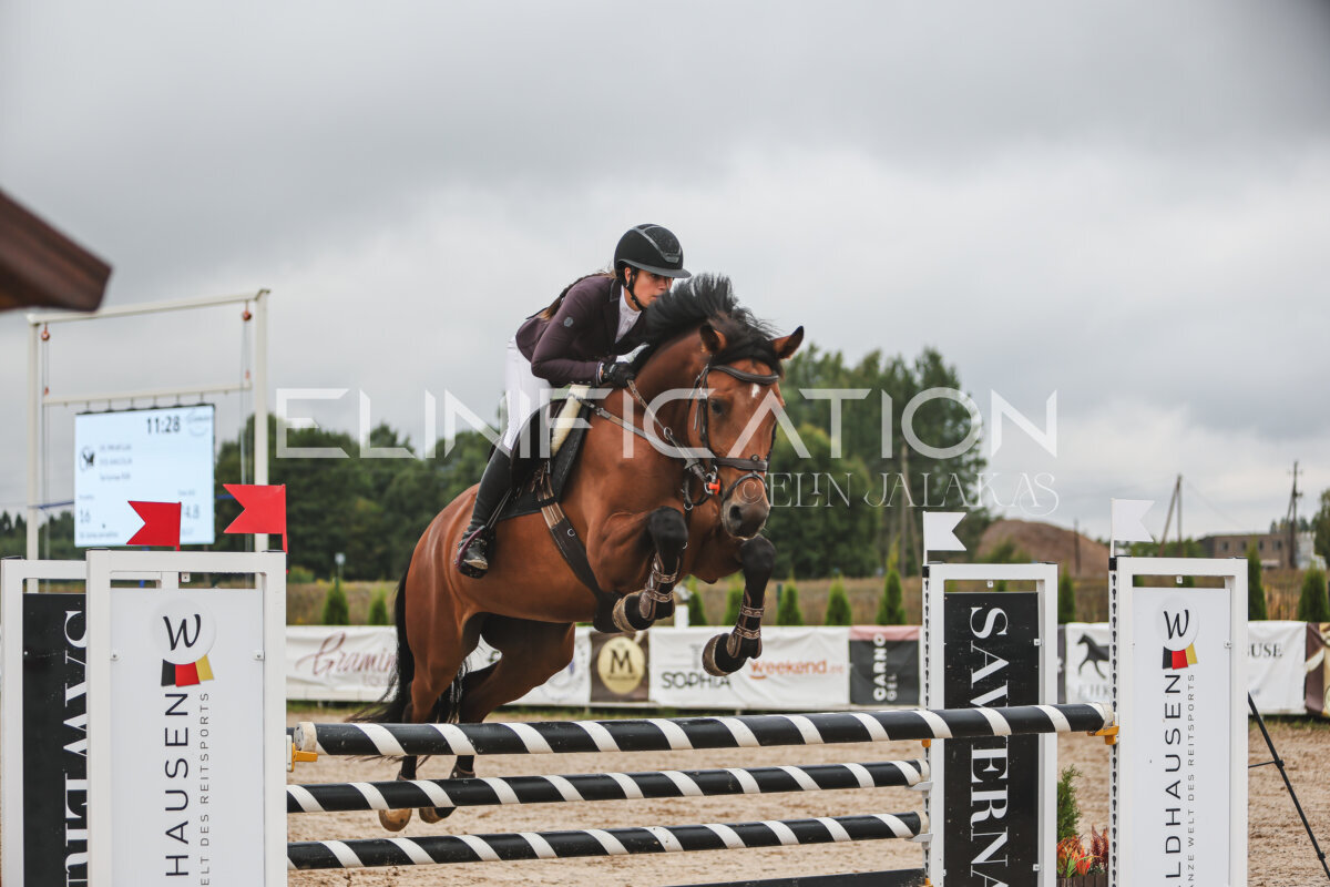 NHTS_2026_12_115cm_045