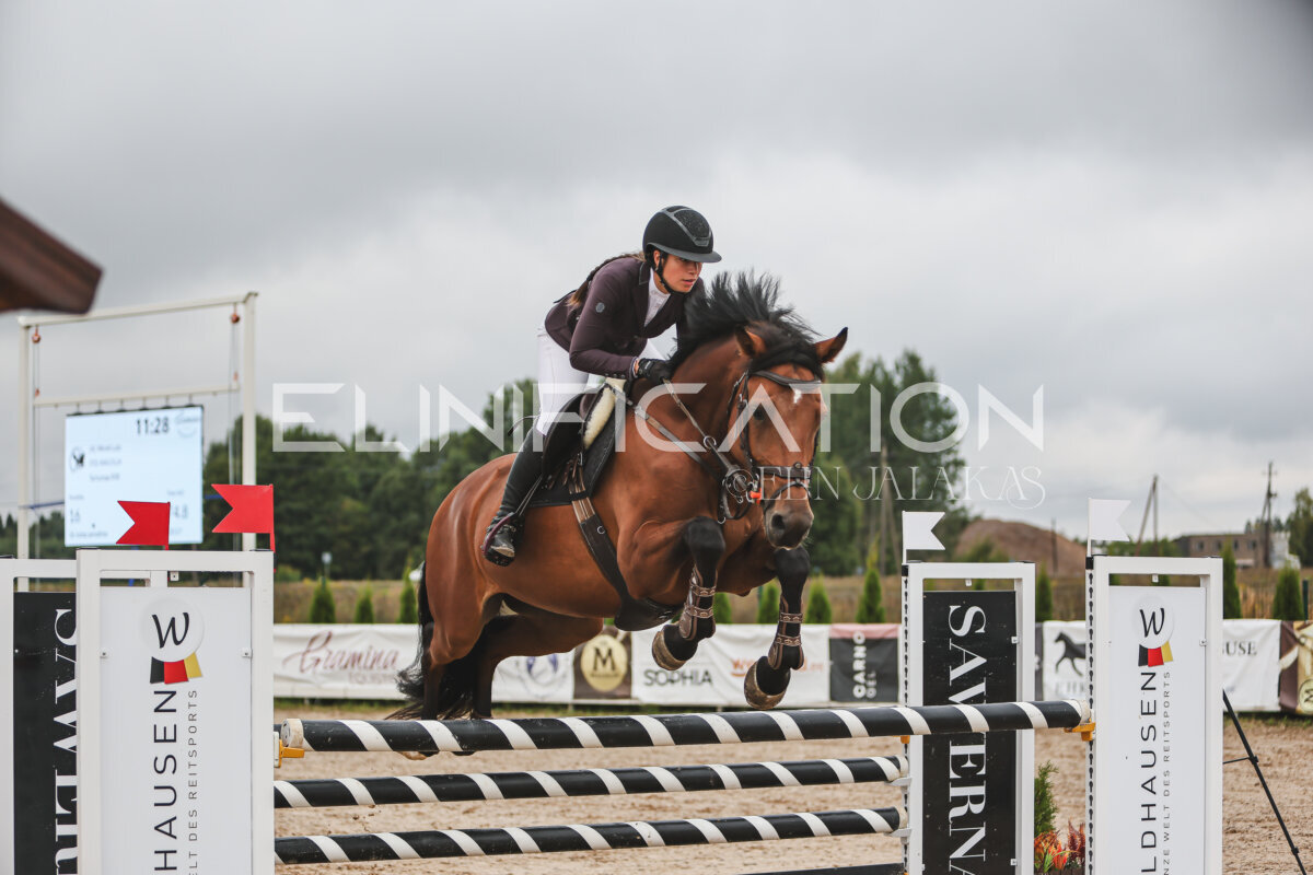 NHTS_2026_12_115cm_046