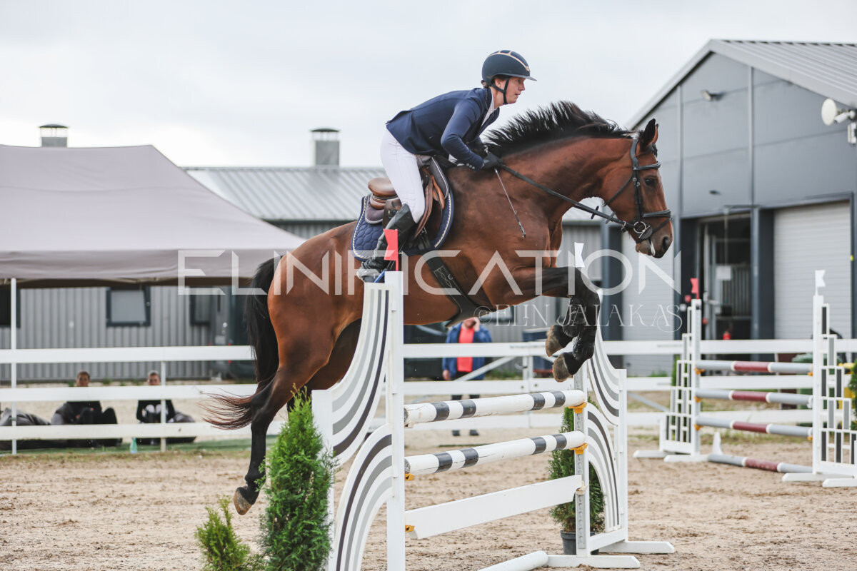 NHTS_2026_12_115cm_055