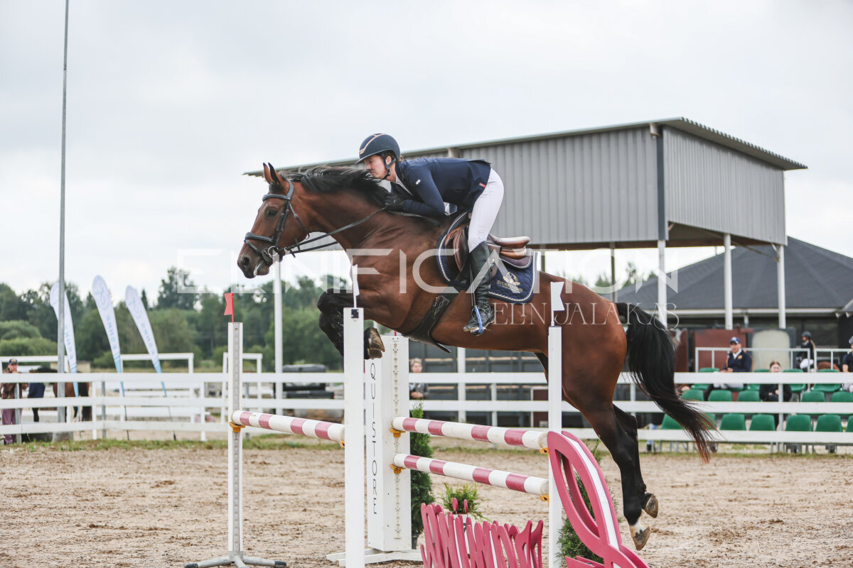 NHTS_2026_12_115cm_060
