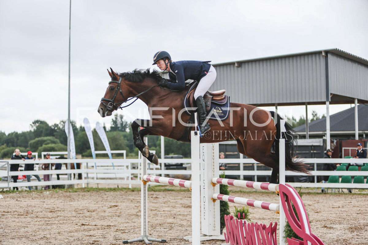 NHTS_2026_12_115cm_062