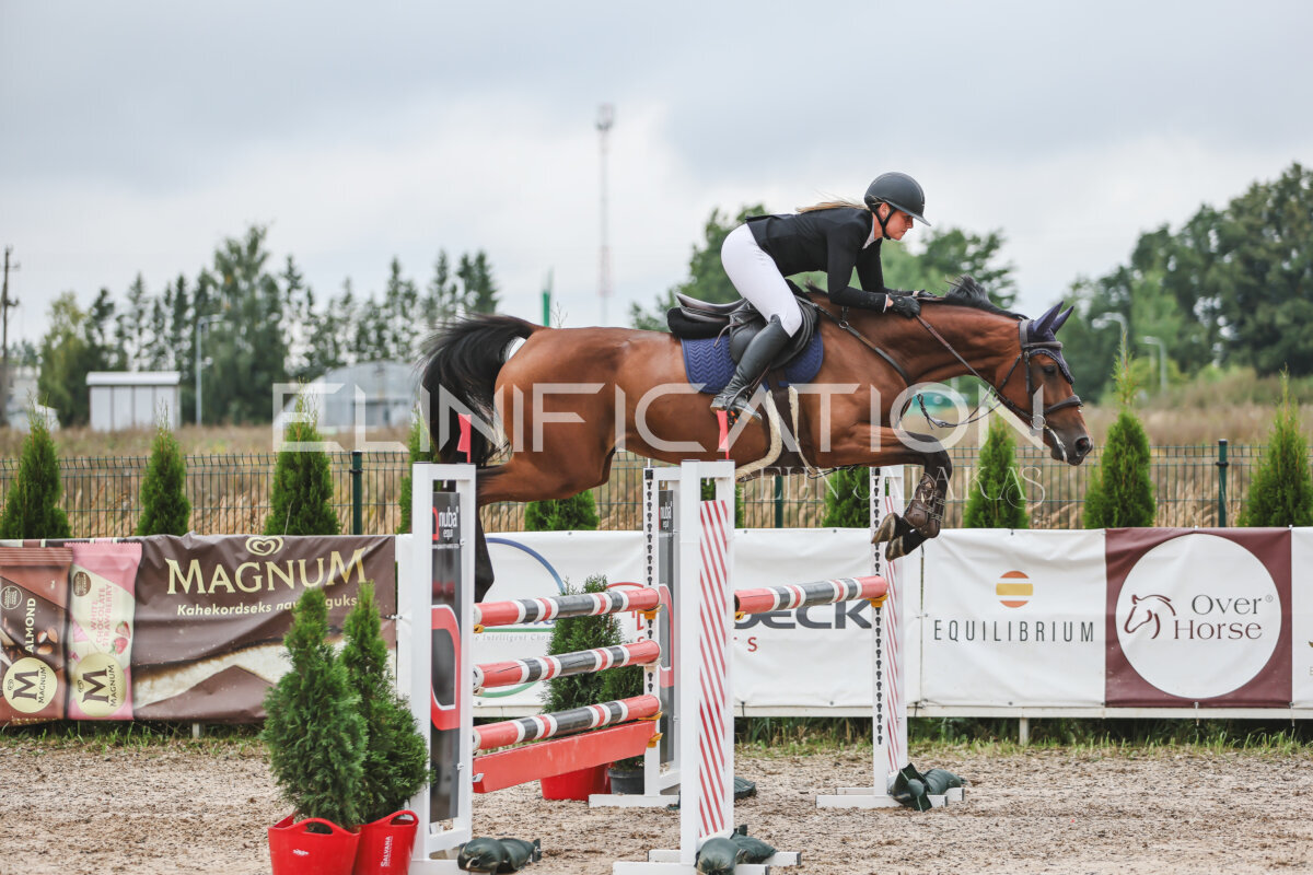 NHTS_2026_12_115cm_070