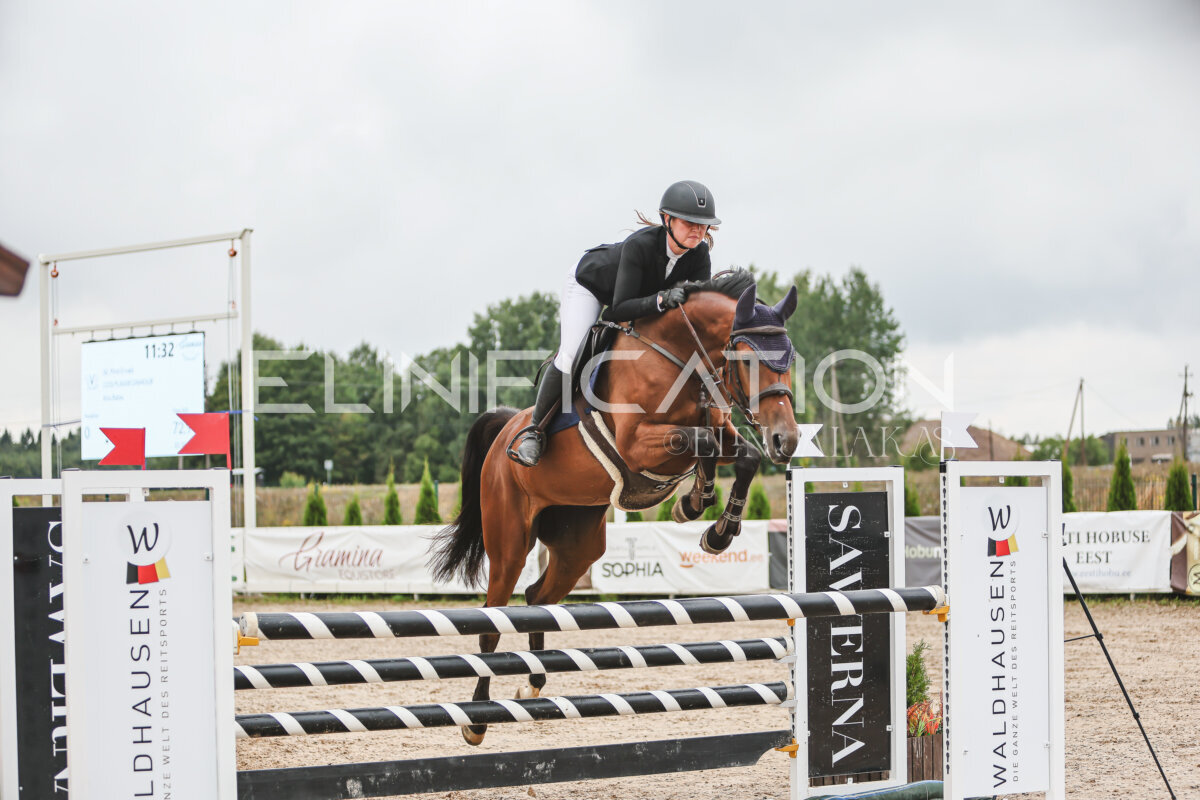 NHTS_2026_12_115cm_079