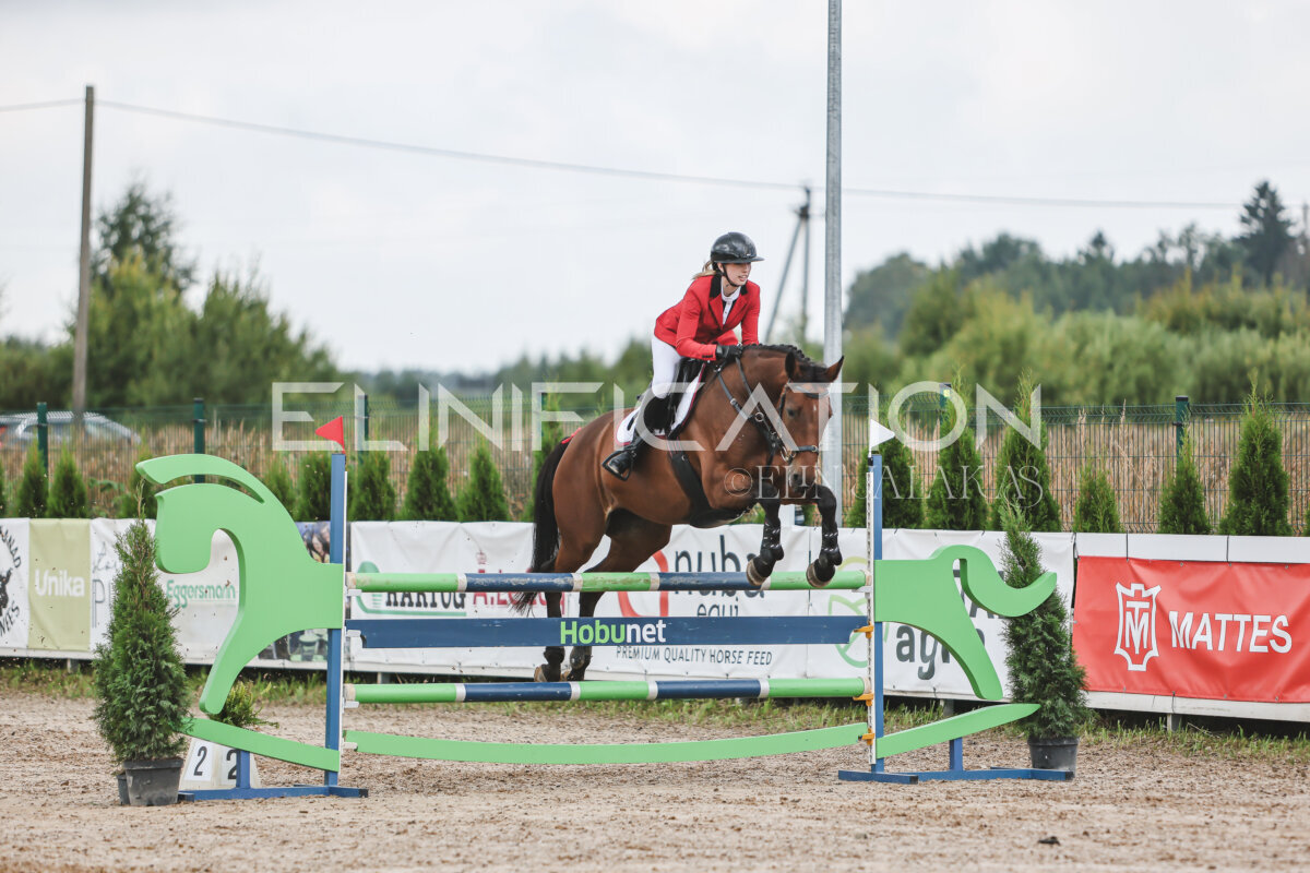 NHTS_2026_12_115cm_083