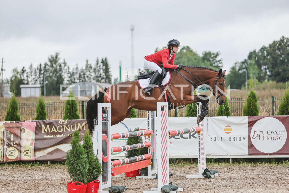NHTS_2026_12_115cm_085