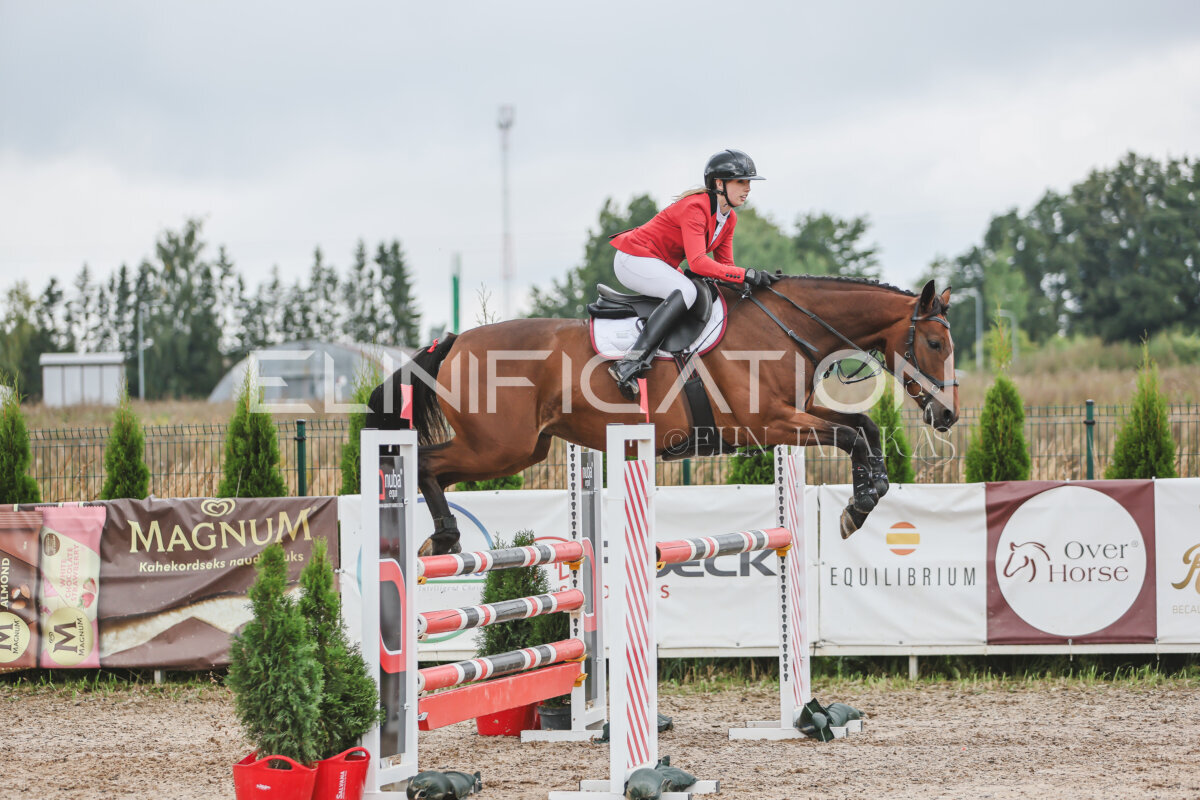 NHTS_2026_12_115cm_086