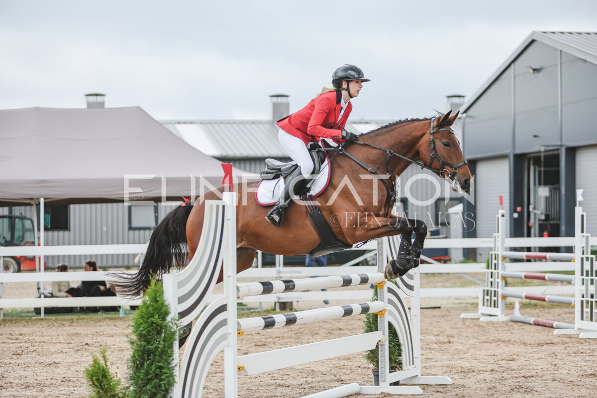NHTS_2026_12_115cm_088