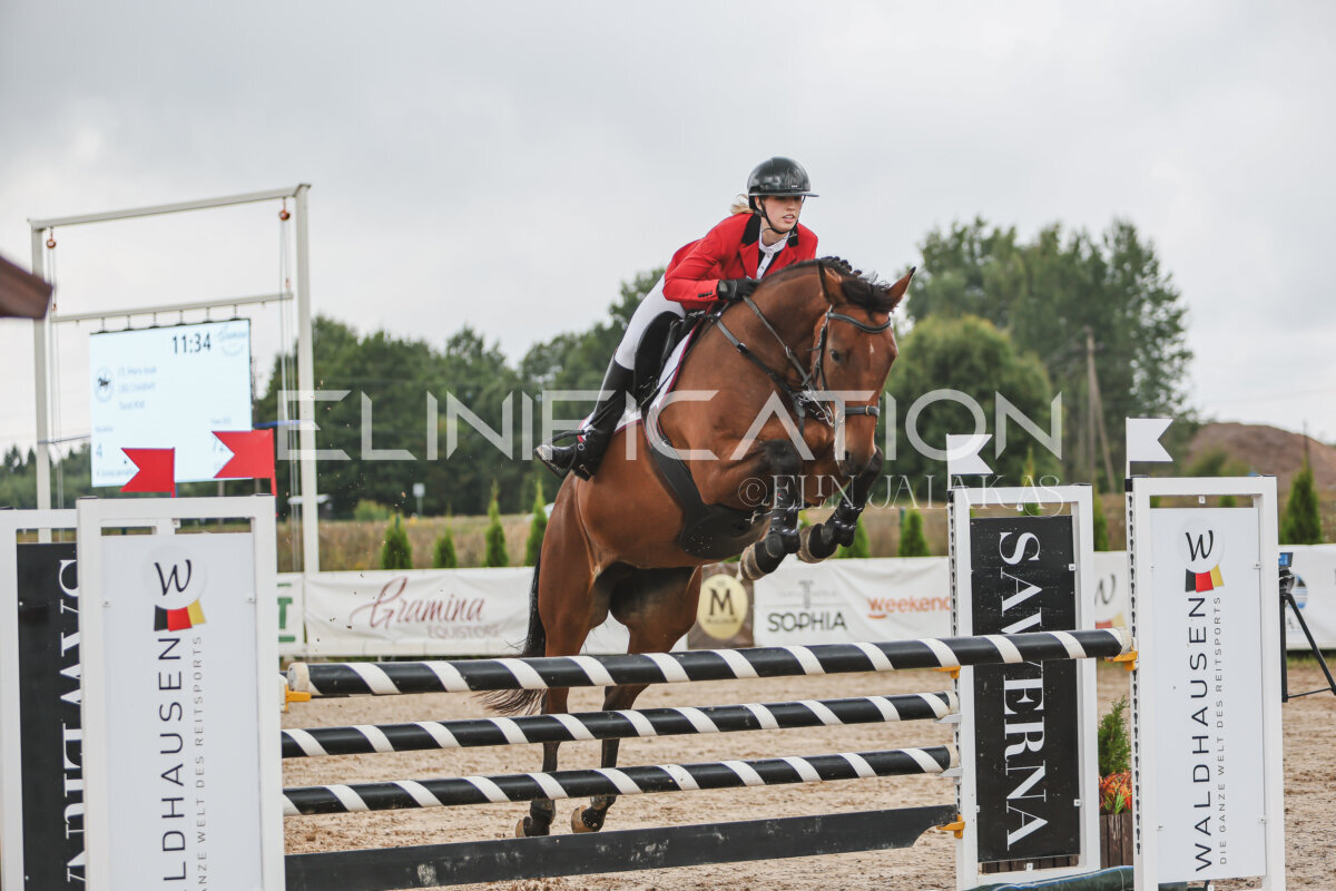 NHTS_2026_12_115cm_095