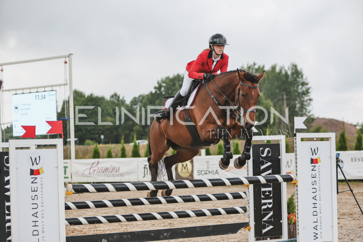 NHTS_2026_12_115cm_097