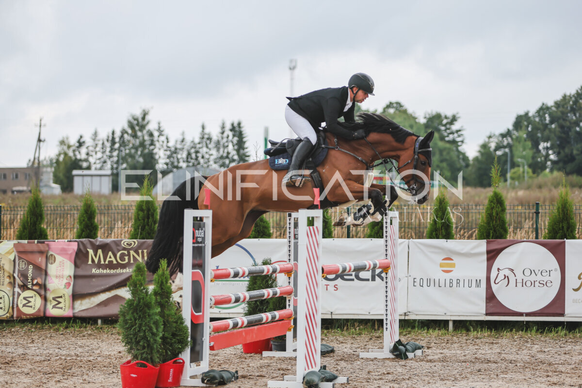 NHTS_2026_12_115cm_098