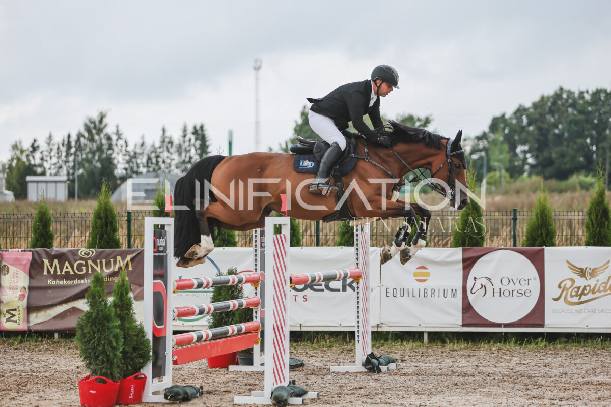 NHTS_2026_12_115cm_100