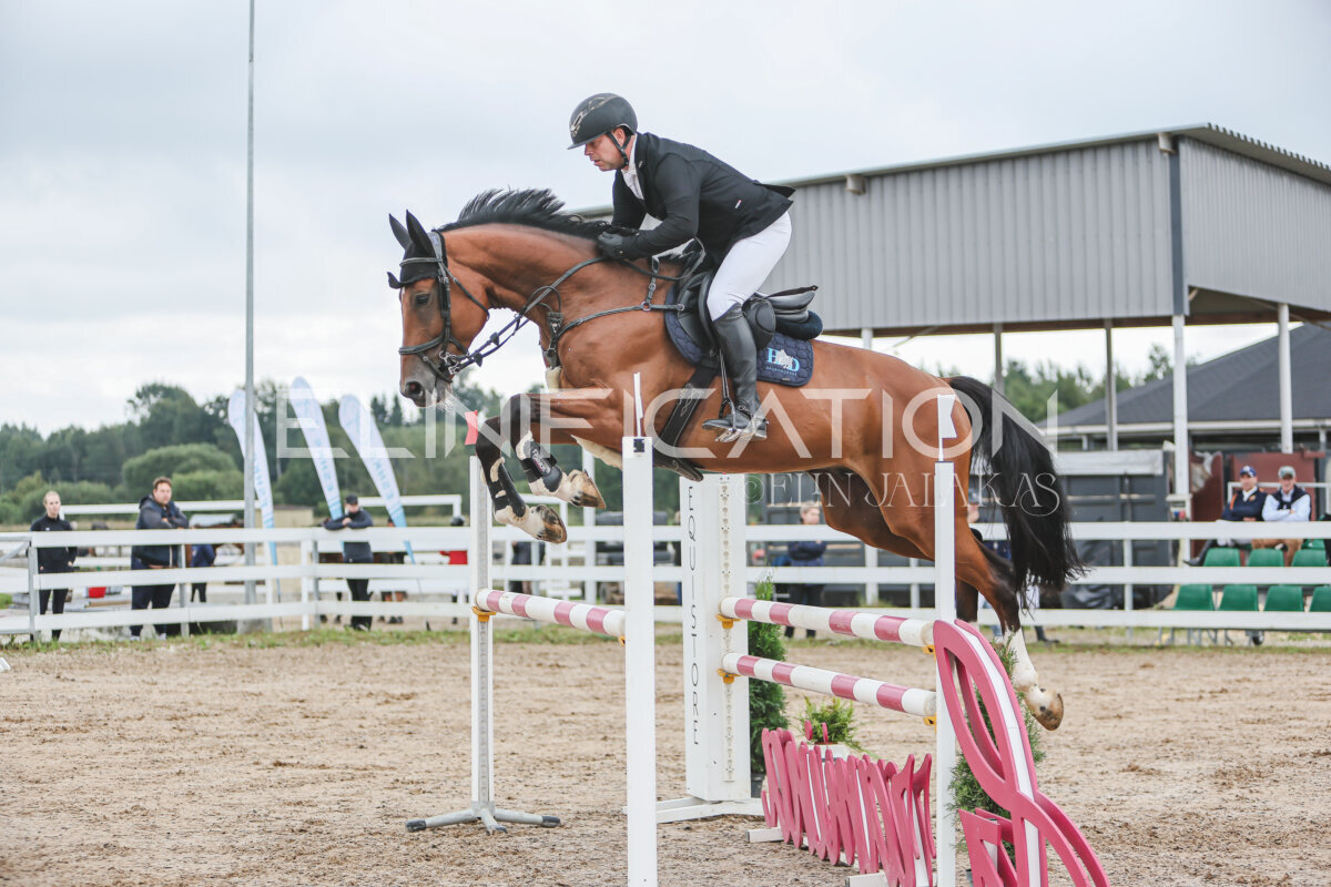 NHTS_2026_12_115cm_102