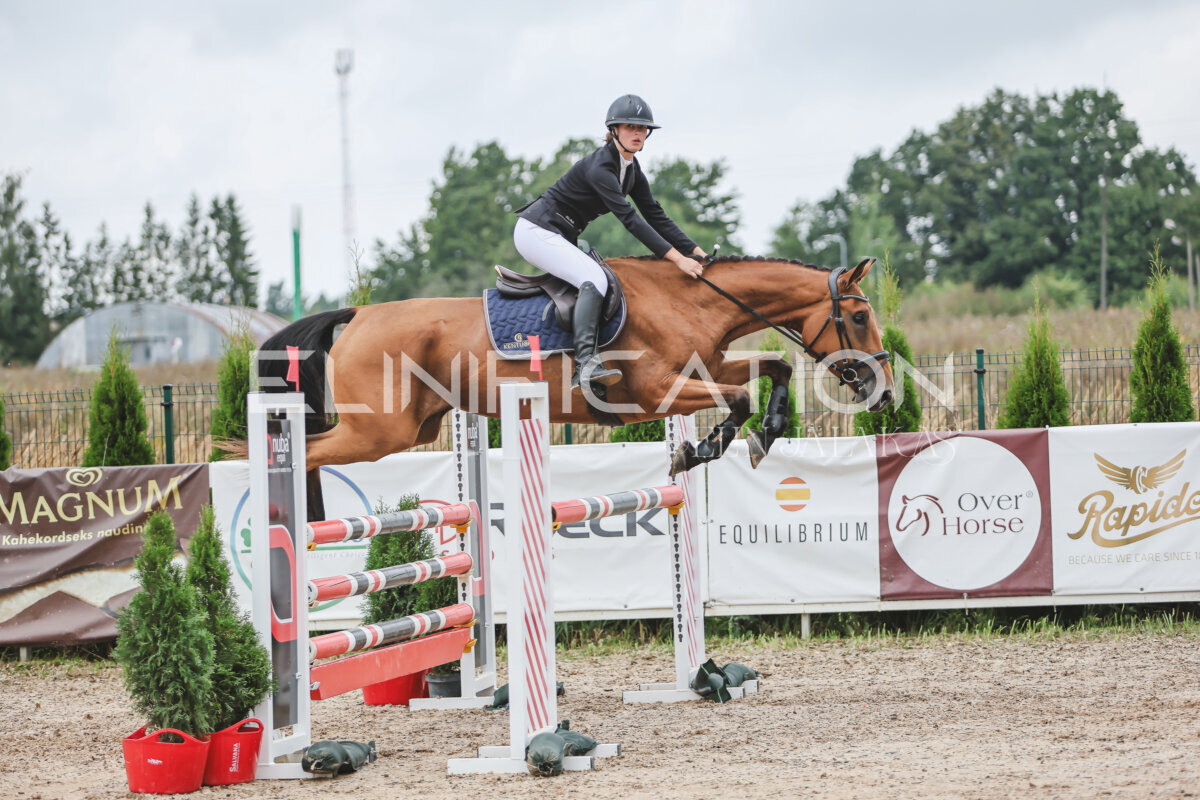 NHTS_2026_12_115cm_106