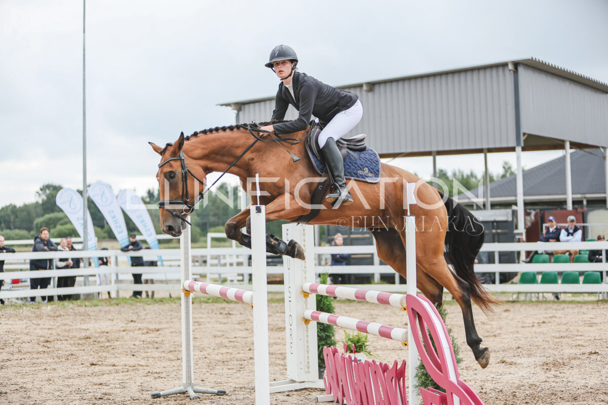 NHTS_2026_12_115cm_110
