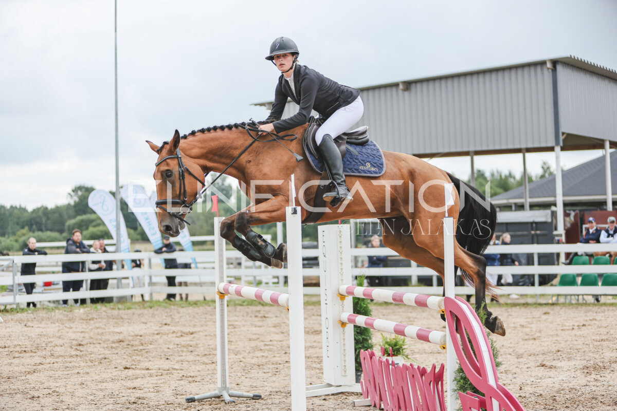 NHTS_2026_12_115cm_111