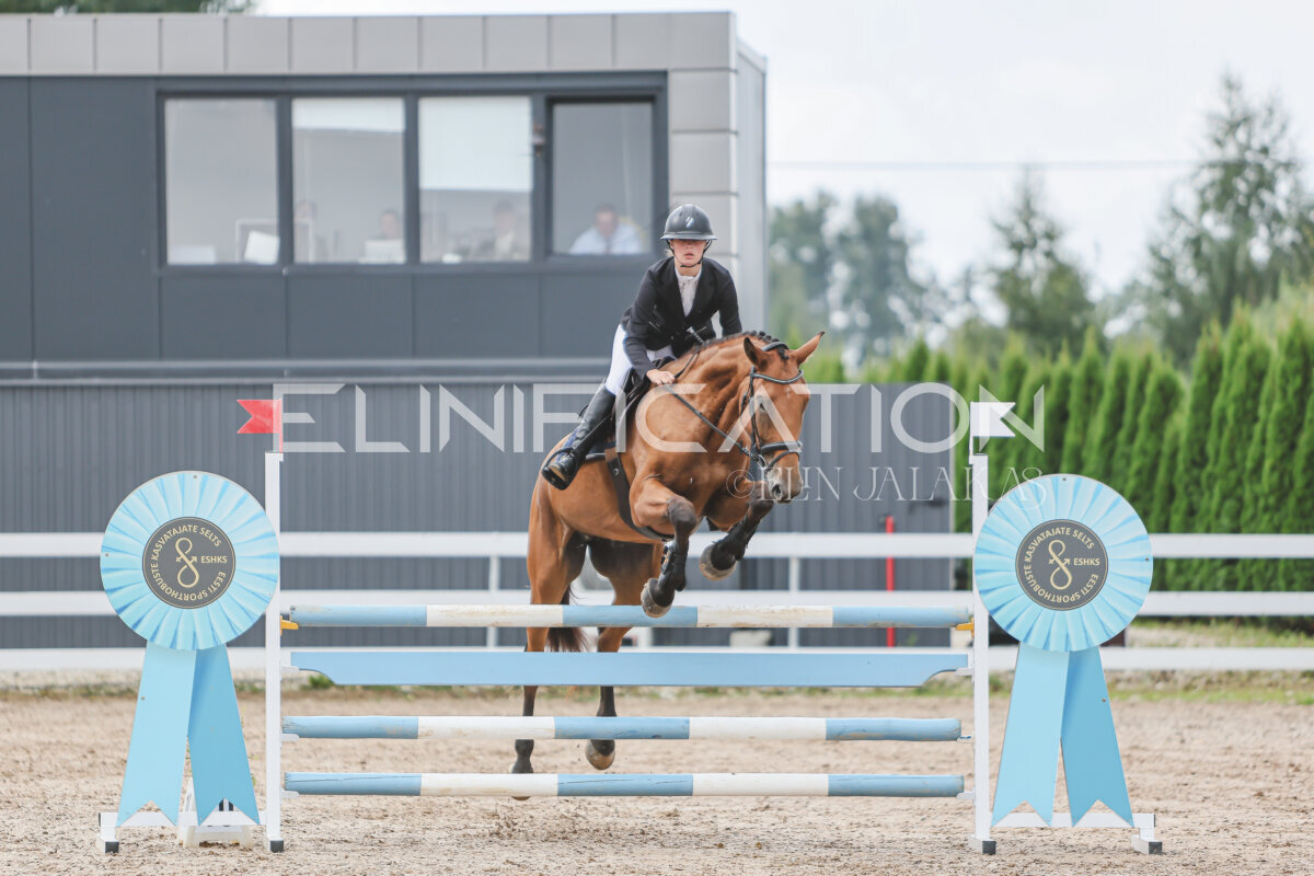 NHTS_2026_12_115cm_113