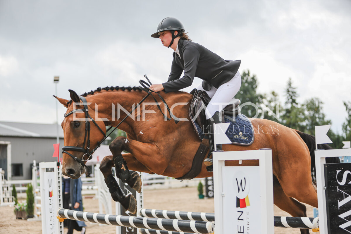 NHTS_2026_12_115cm_116