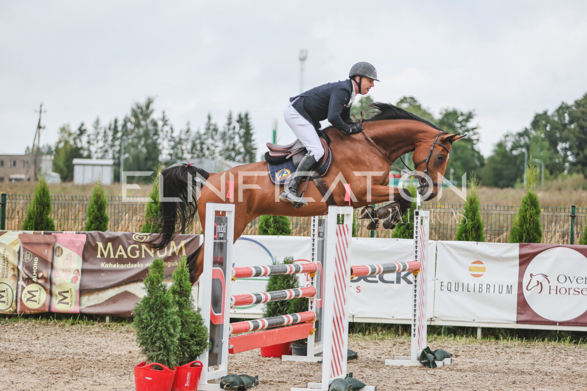 NHTS_2026_12_115cm_119