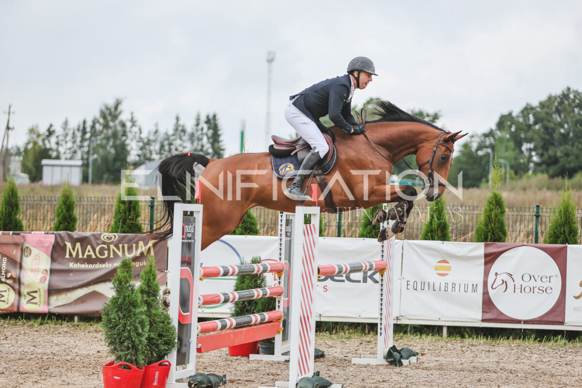 NHTS_2026_12_115cm_120