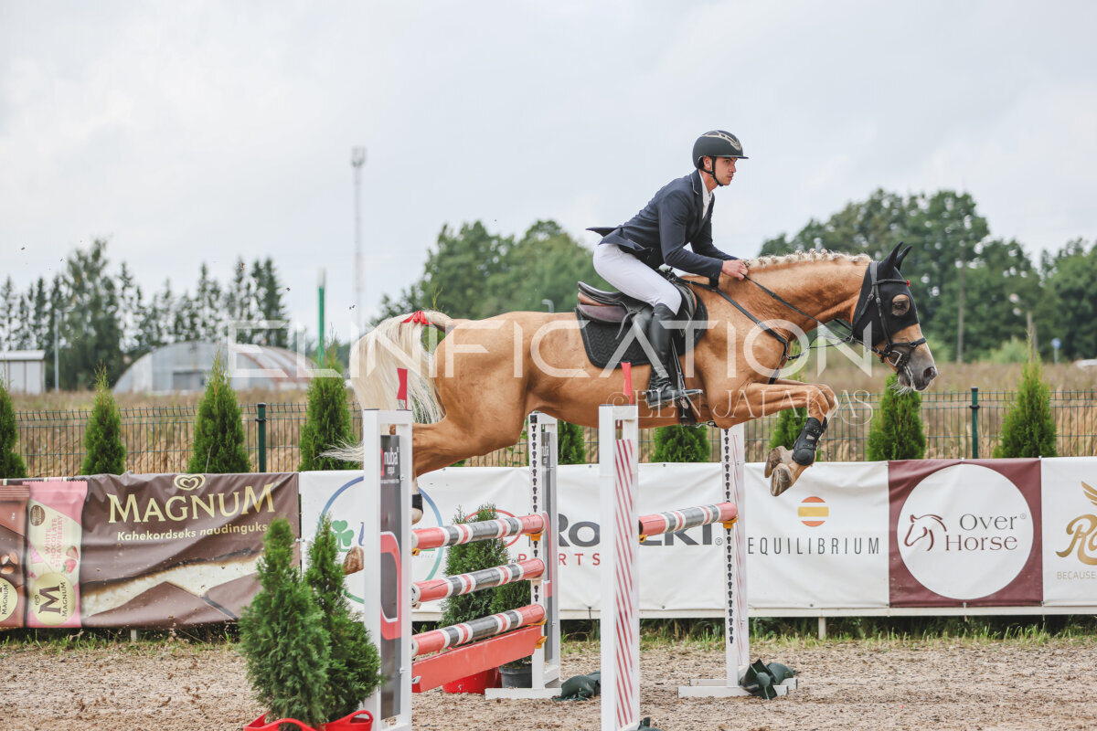 NHTS_2026_12_115cm_125