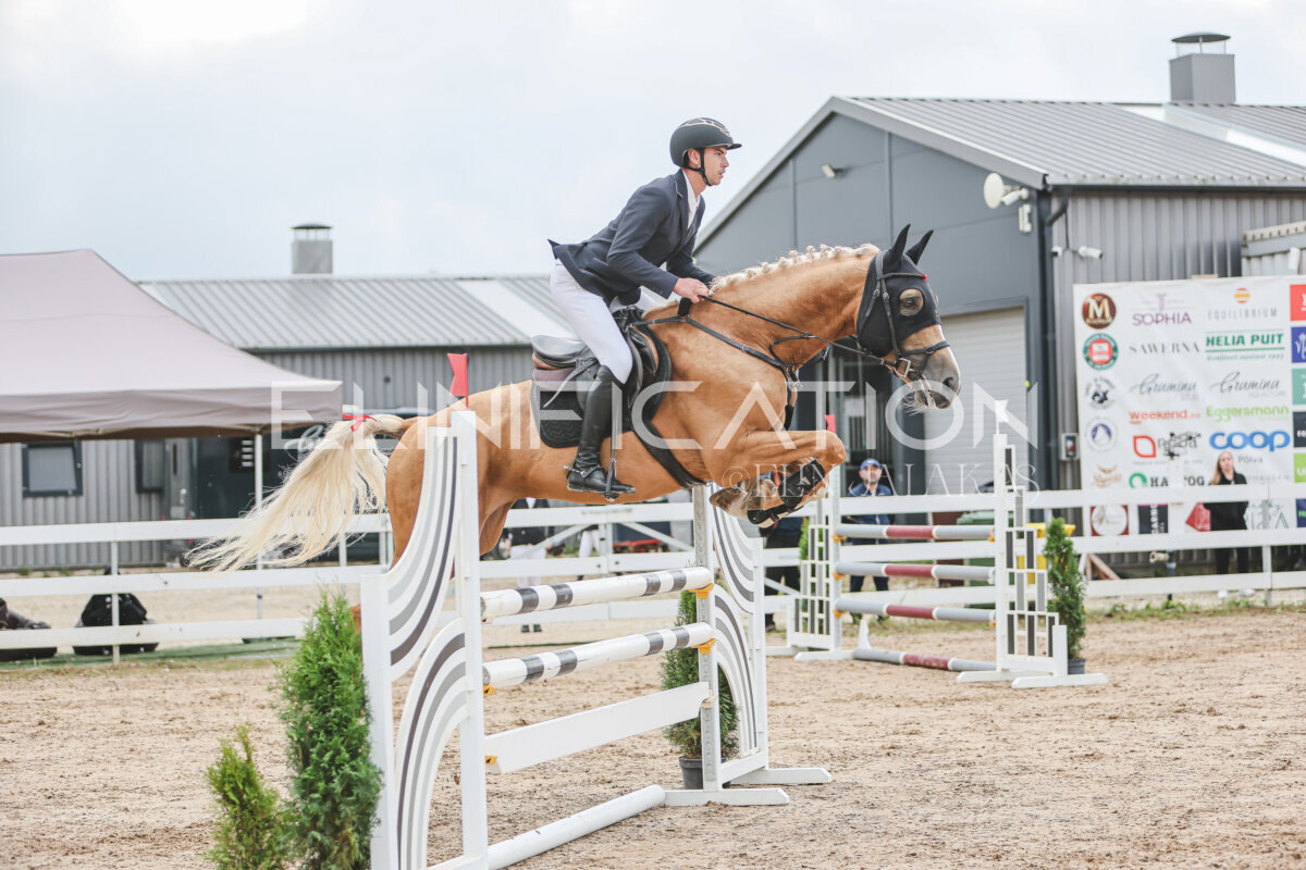 NHTS_2026_12_115cm_128