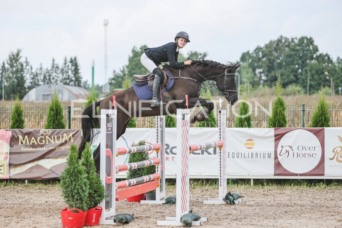 NHTS_2026_12_115cm_137
