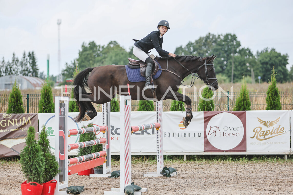 NHTS_2026_12_115cm_140