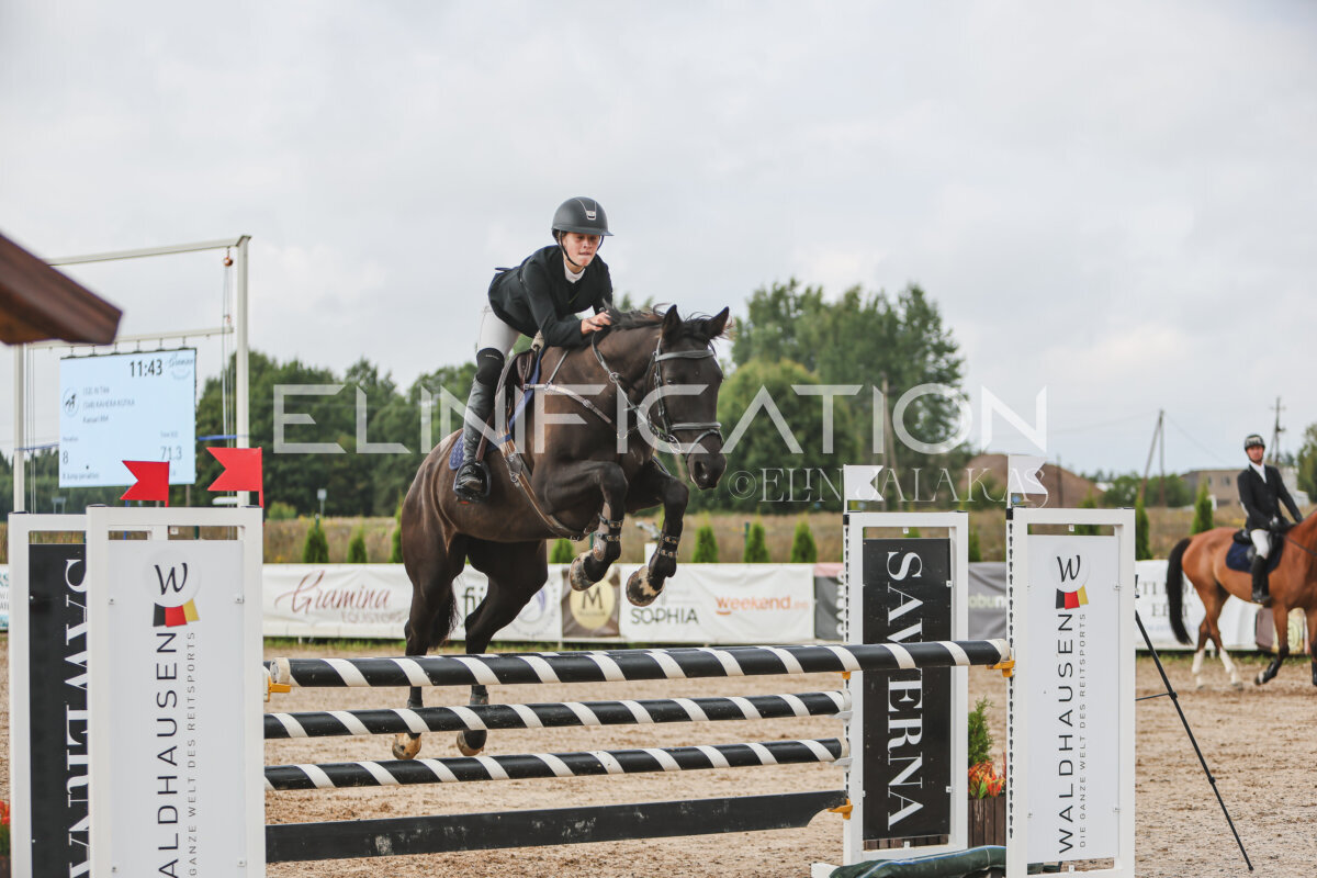 NHTS_2026_12_115cm_145