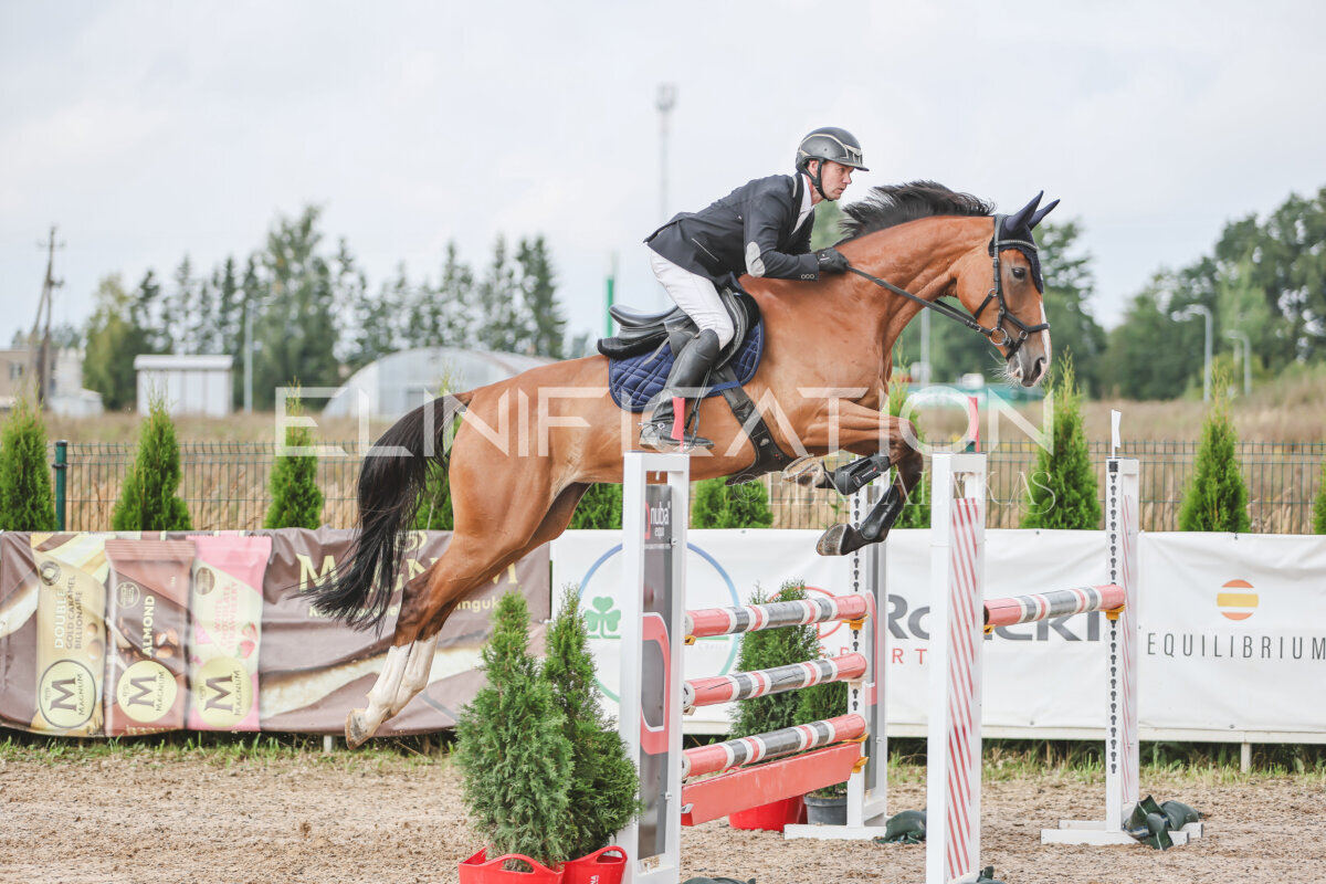 NHTS_2026_12_115cm_149