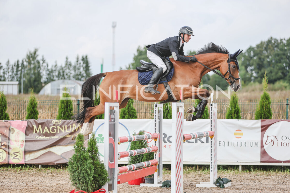 NHTS_2026_12_115cm_150
