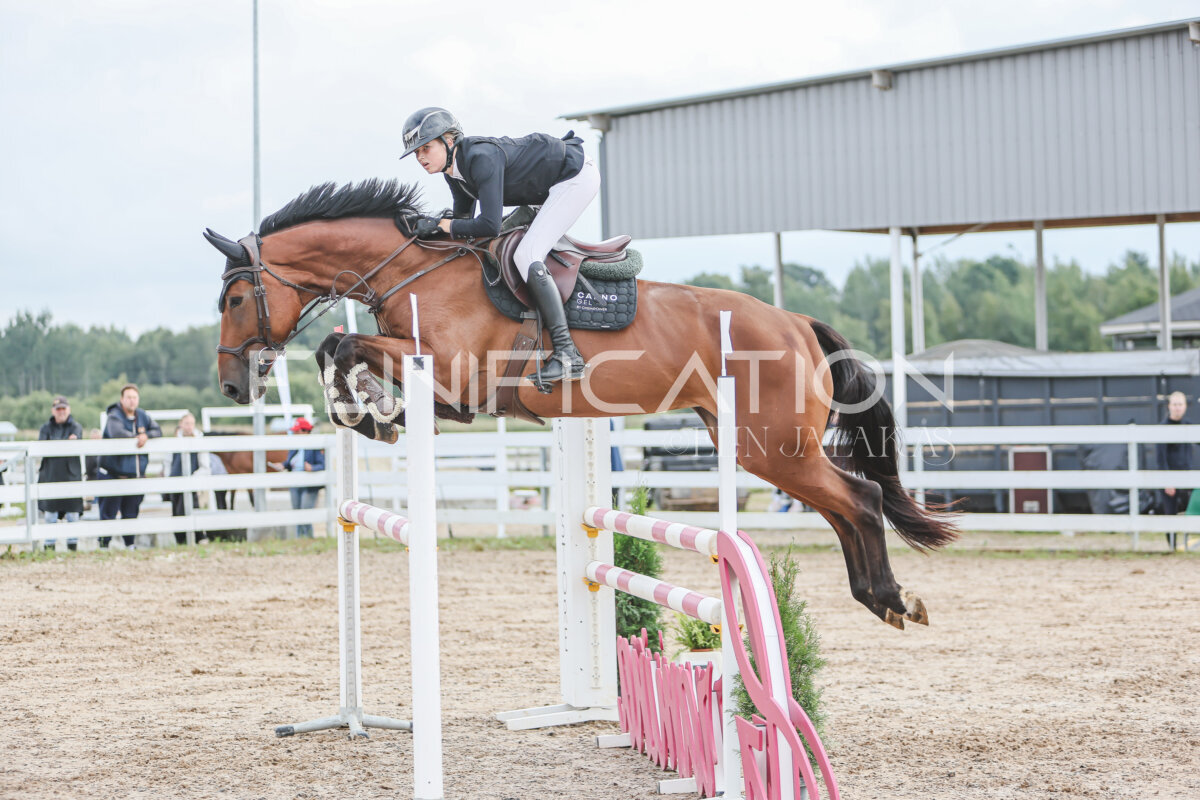NHTS_2026_12_115cm_185