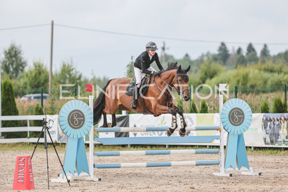 NHTS_2026_12_115cm_188