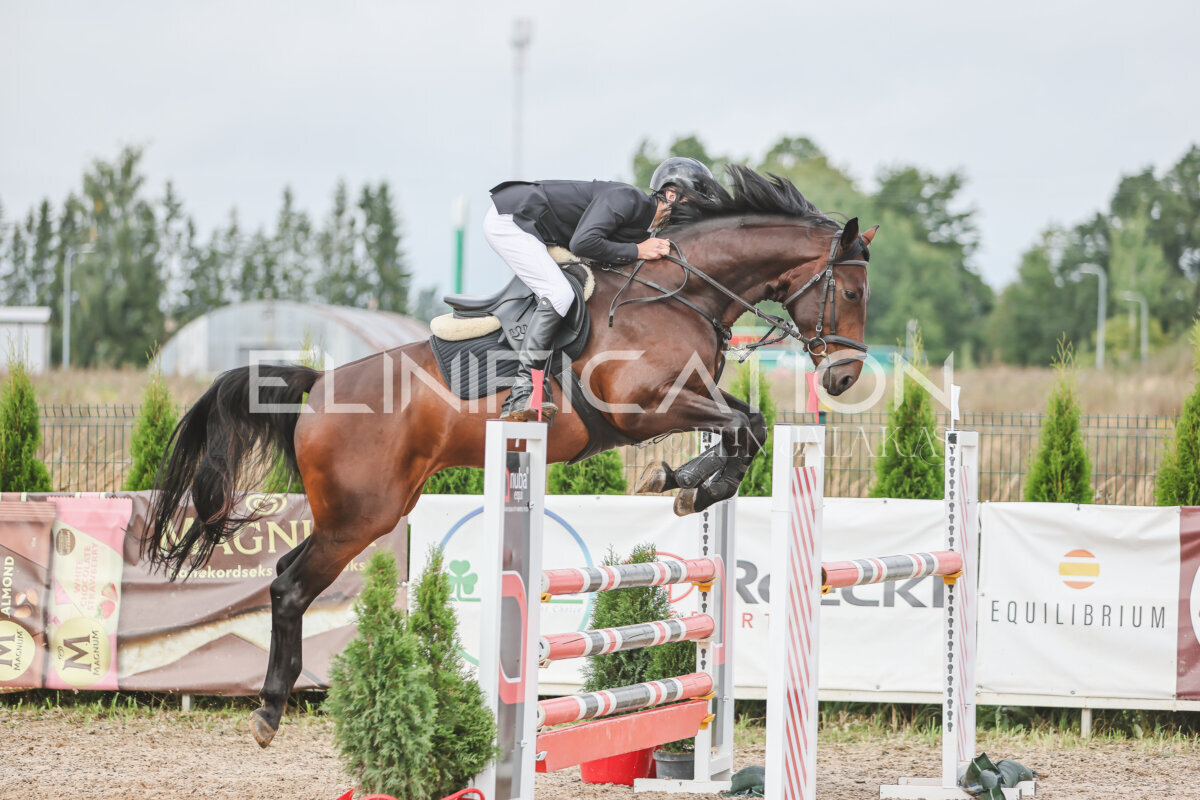 NHTS_2026_12_115cm_193