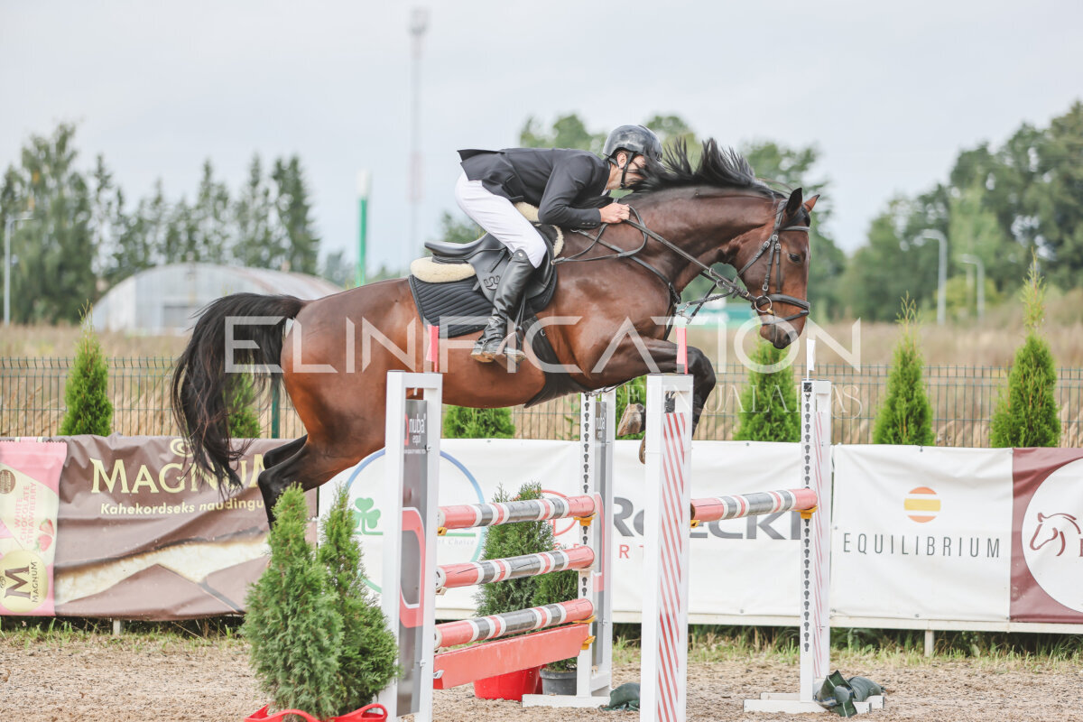 NHTS_2026_12_115cm_194