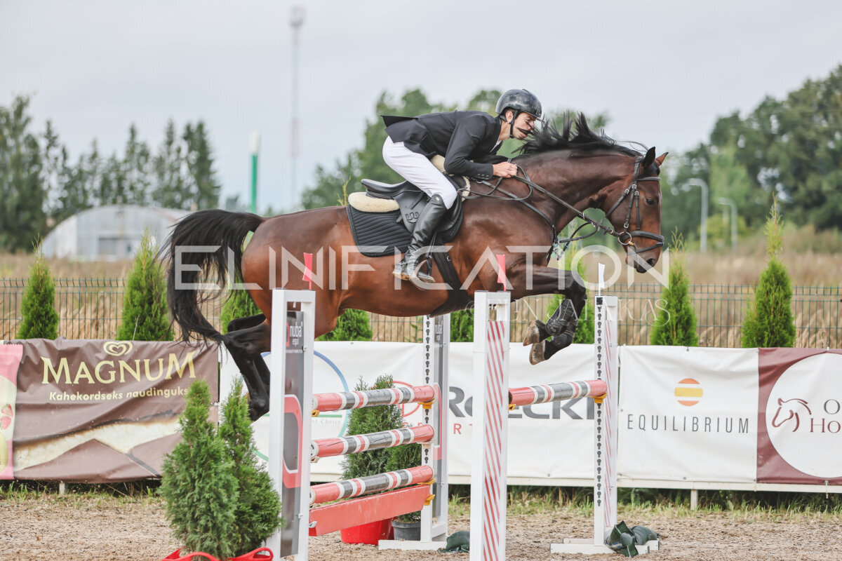 NHTS_2026_12_115cm_195
