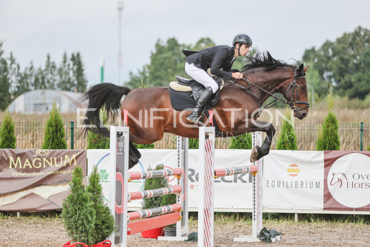 NHTS_2026_12_115cm_196