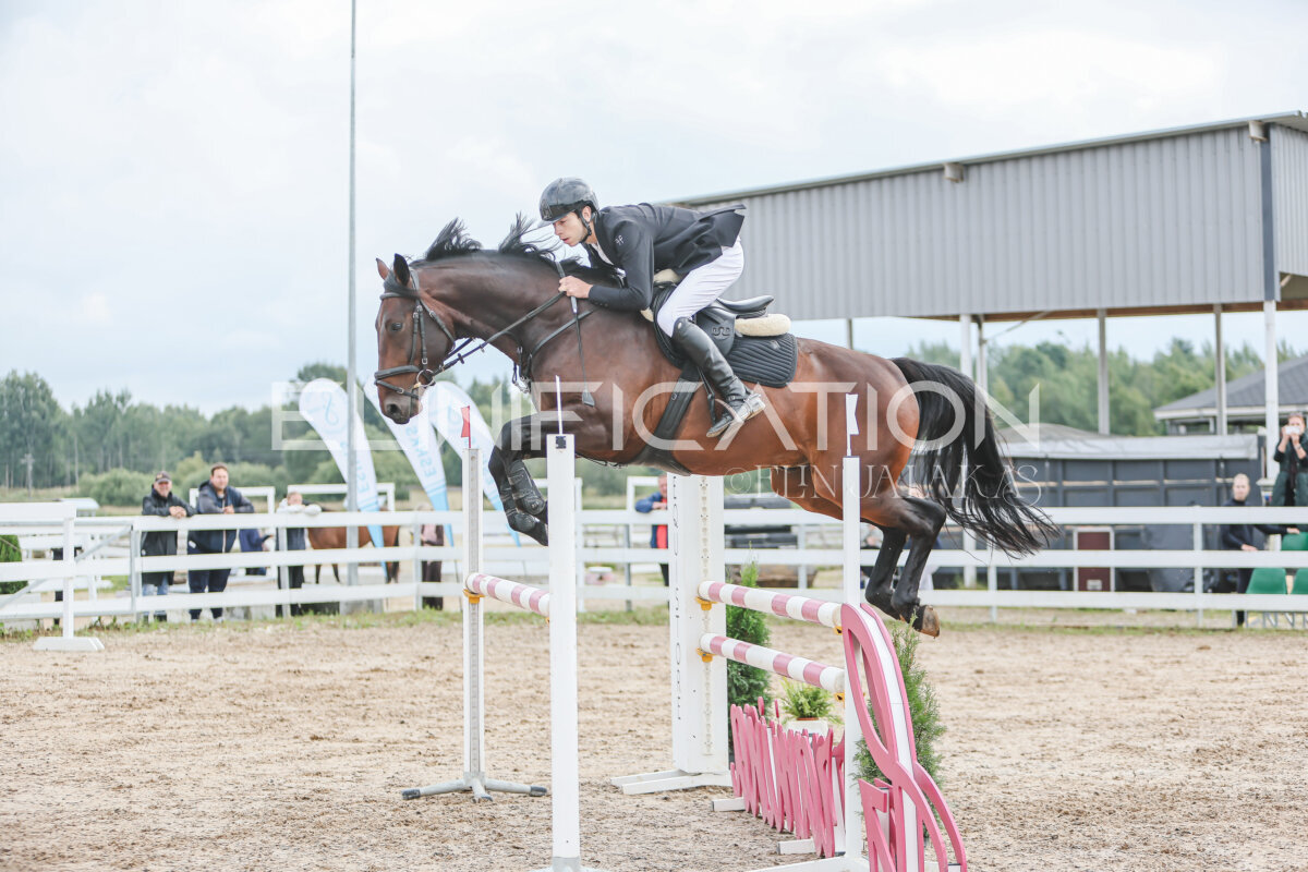 NHTS_2026_12_115cm_201