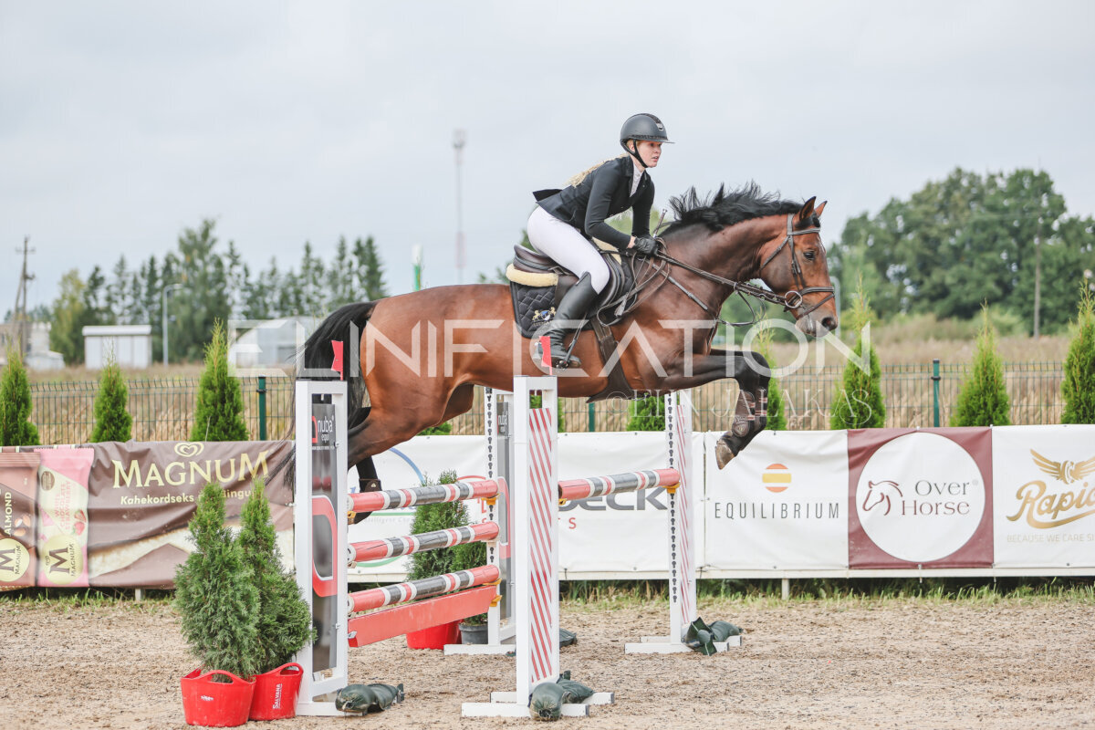 NHTS_2026_12_115cm_210