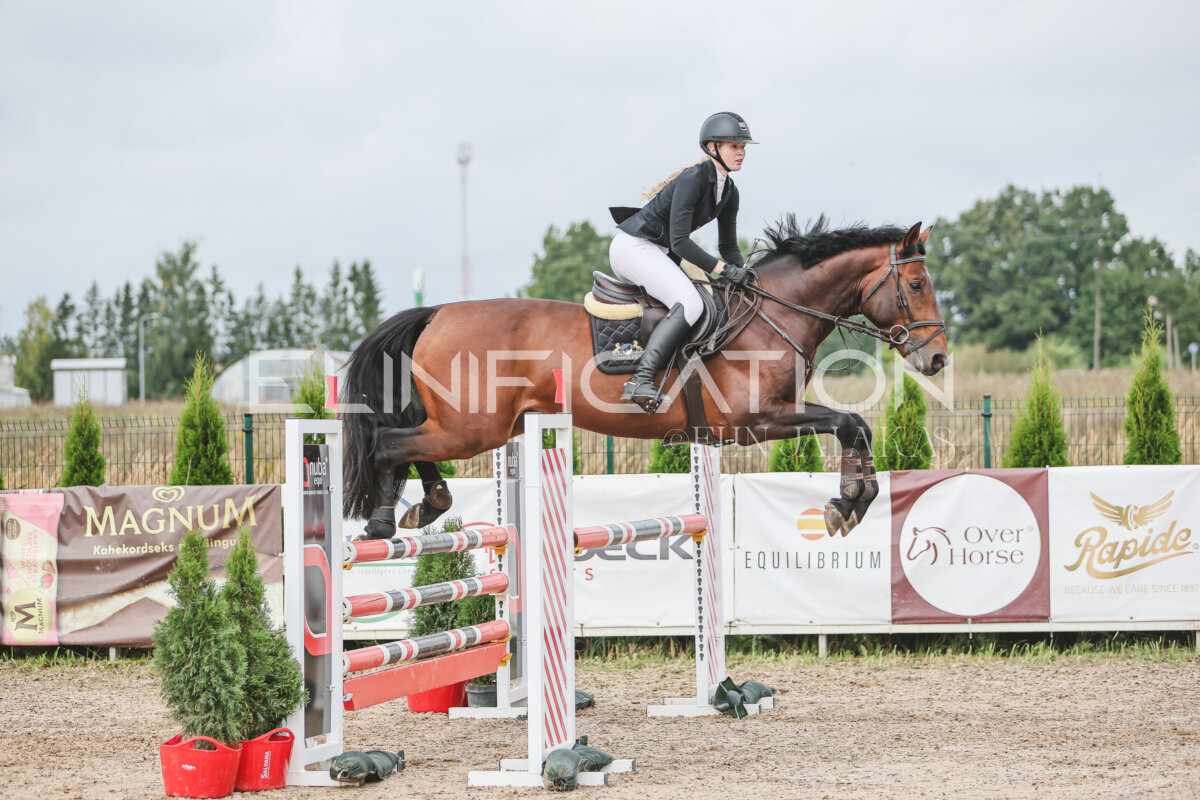 NHTS_2026_12_115cm_211