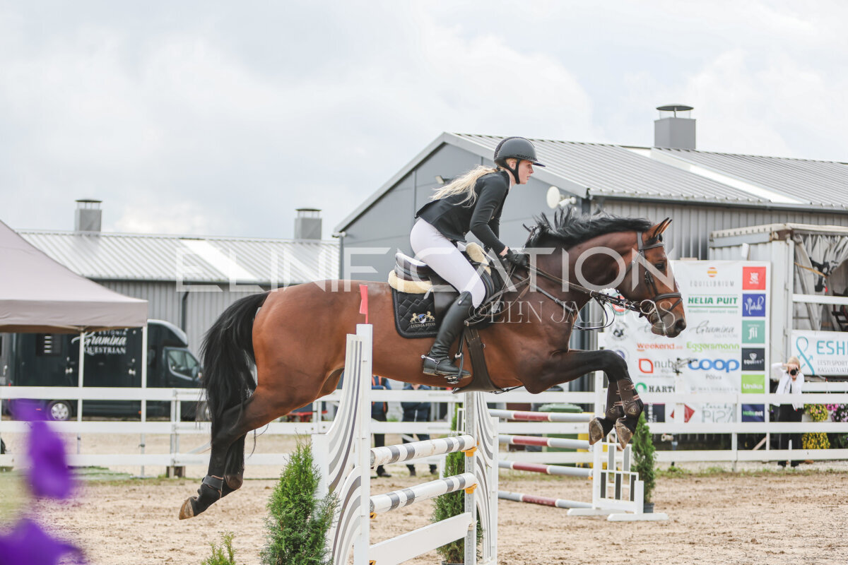 NHTS_2026_12_115cm_212