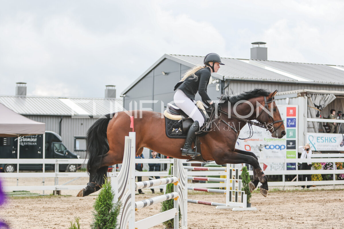 NHTS_2026_12_115cm_213