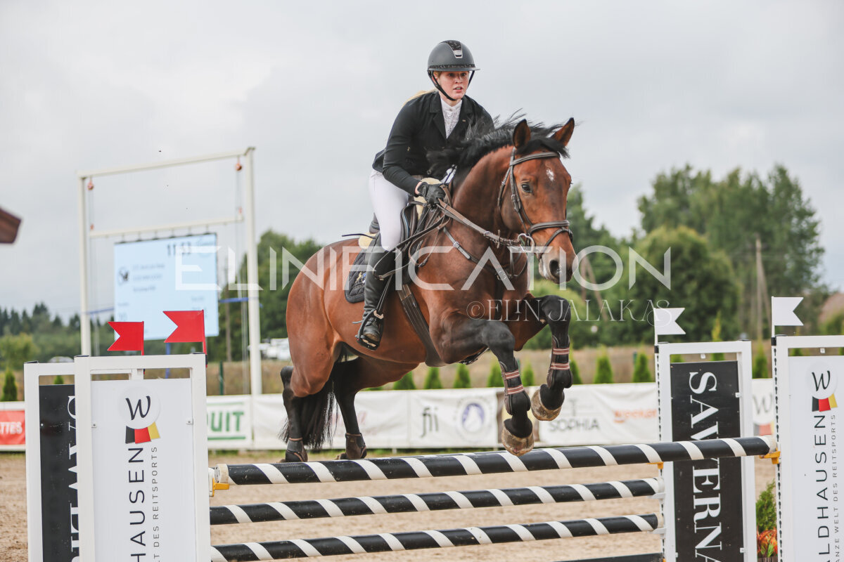 NHTS_2026_12_115cm_215
