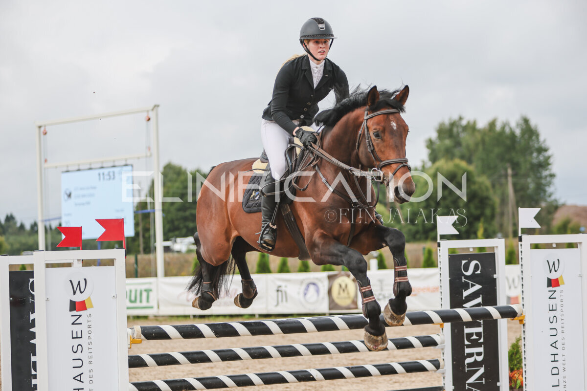 NHTS_2026_12_115cm_216