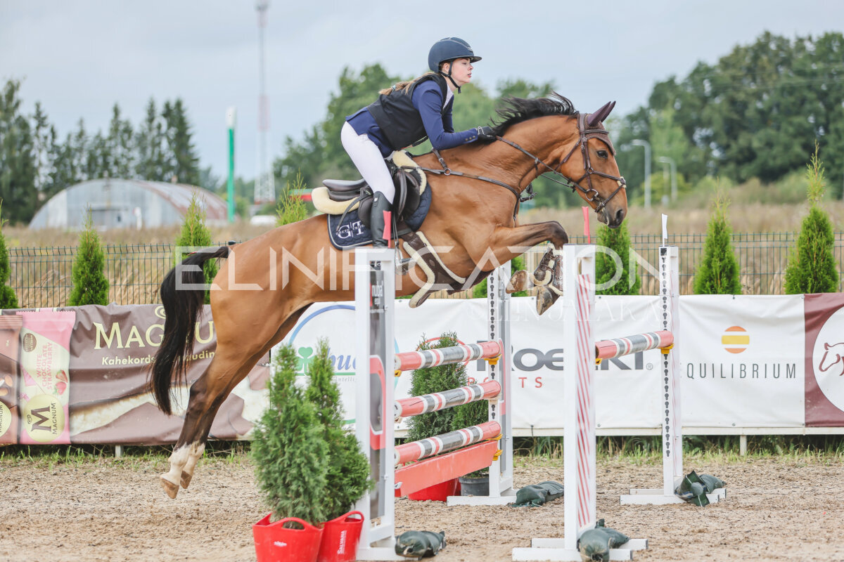 NHTS_2026_12_115cm_219