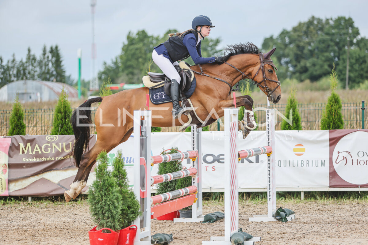 NHTS_2026_12_115cm_220