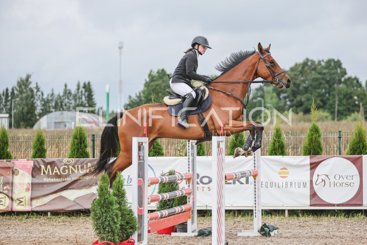 NHTS_2026_12_115cm_228