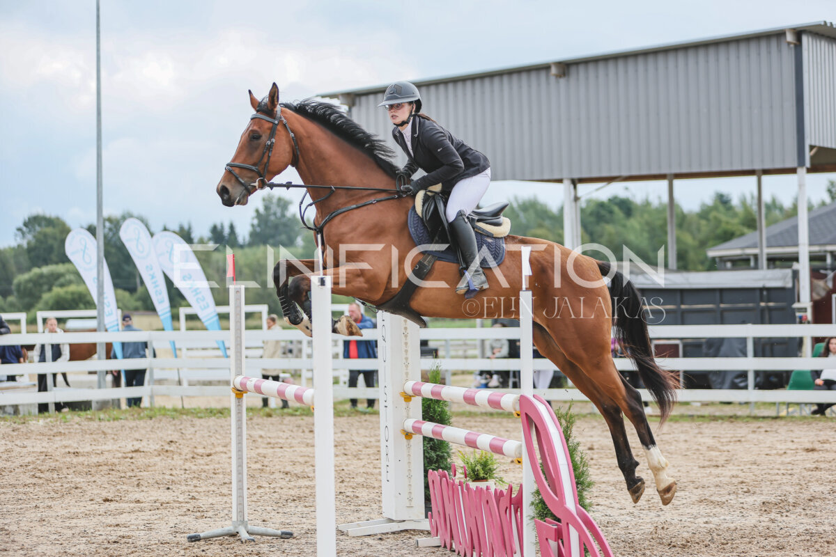 NHTS_2026_12_115cm_229