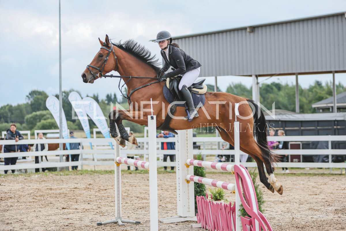NHTS_2026_12_115cm_230